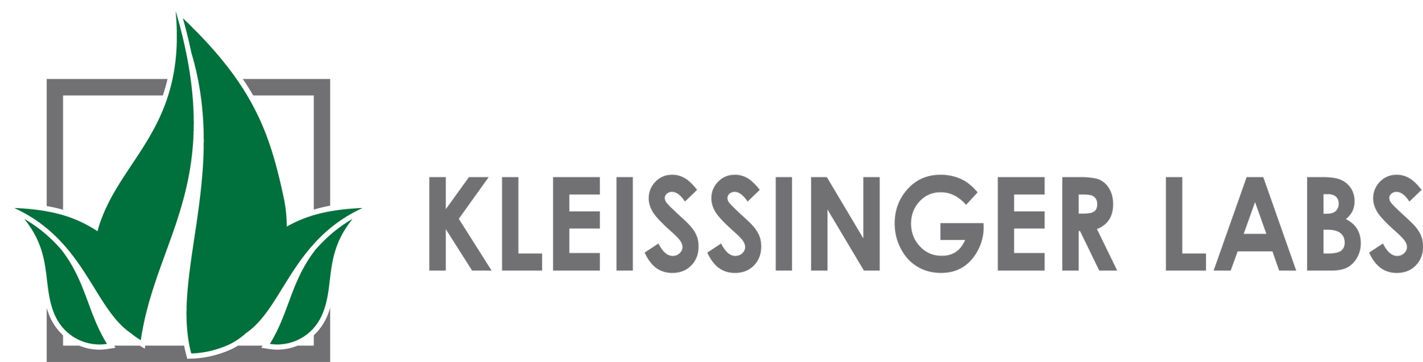 Keisinger Labs